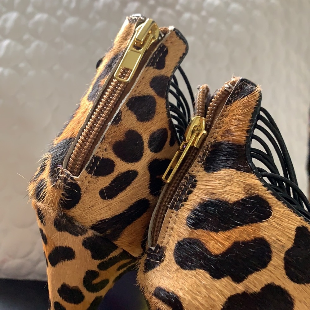 Leopards - Picture 3 of 3